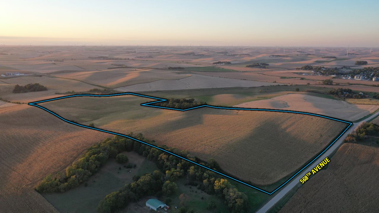 Listing Photo: Drone Edit 2